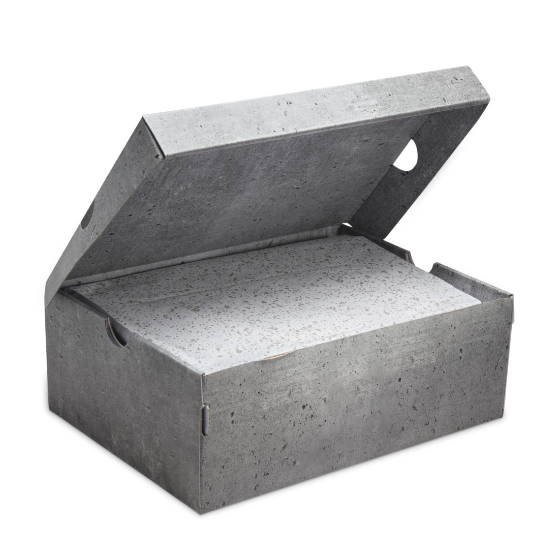 Air Jordan 4 SE Paris Olympics Wet Cement