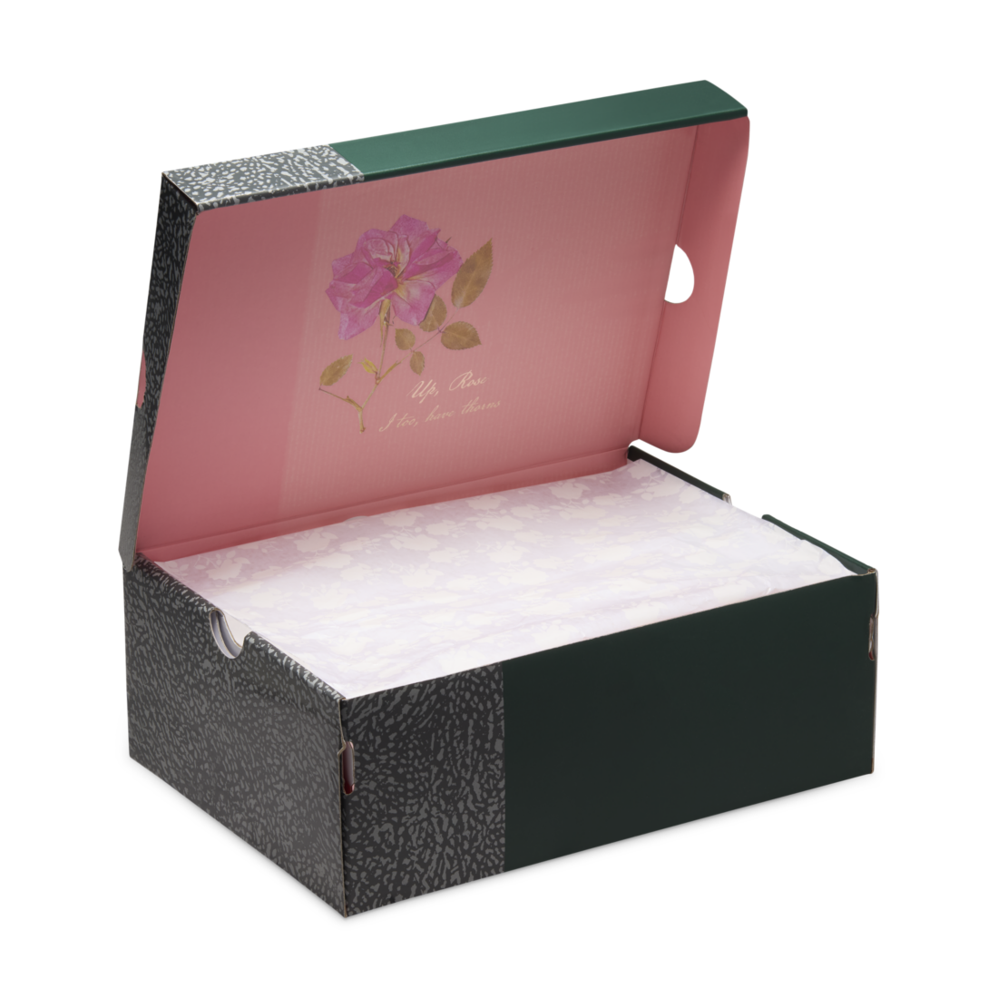 Jordan 3 Retro Wings